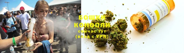 трава Кодинск