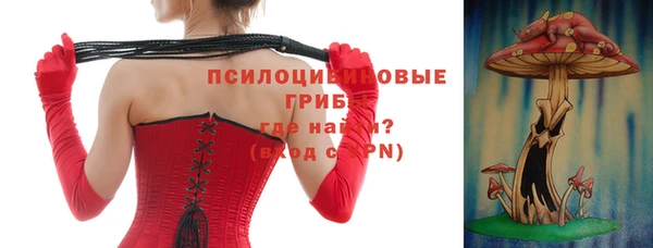 спиды Козельск